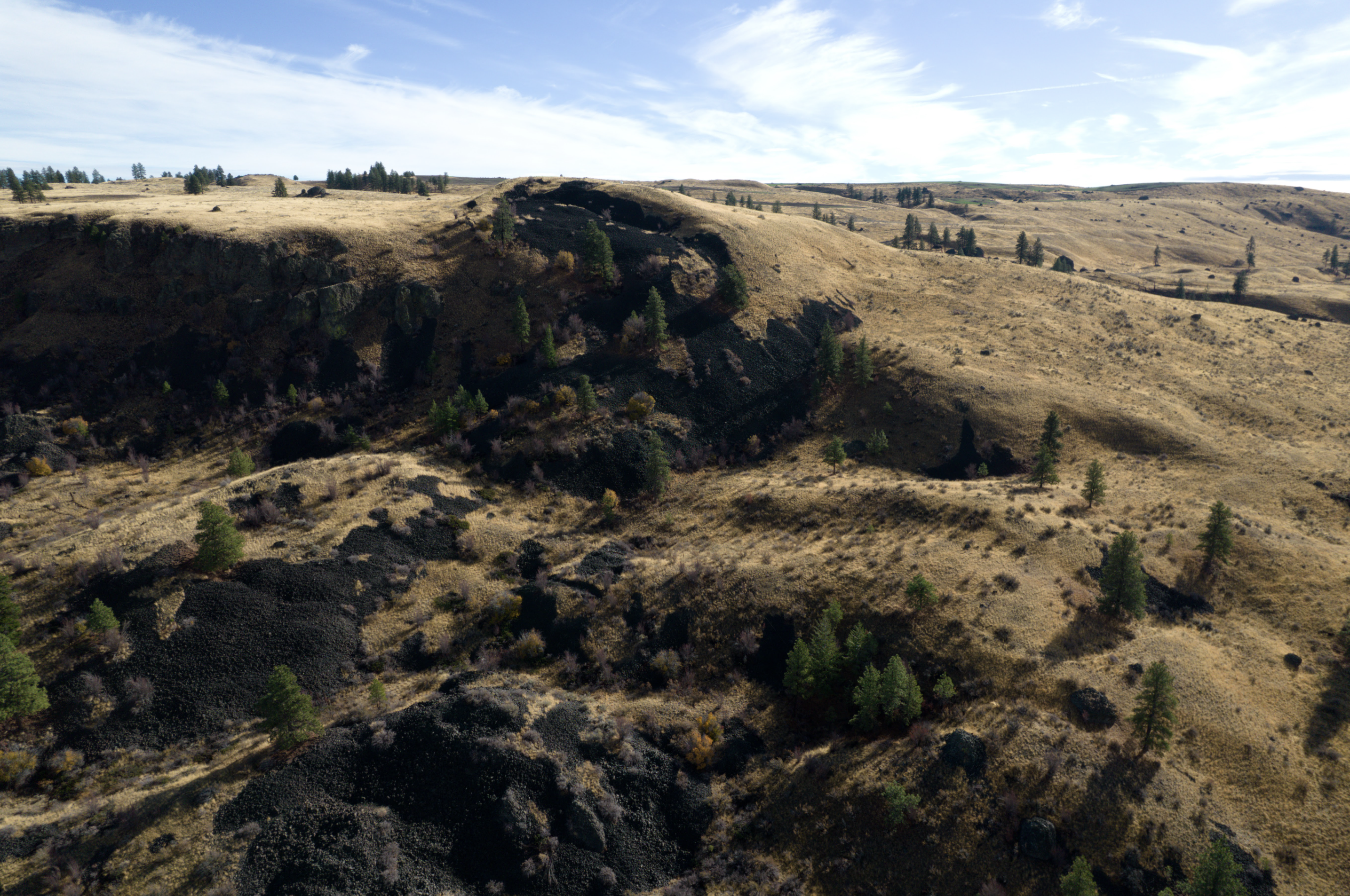 Screenshot-2025-03-24-at-10.42.43 PM
